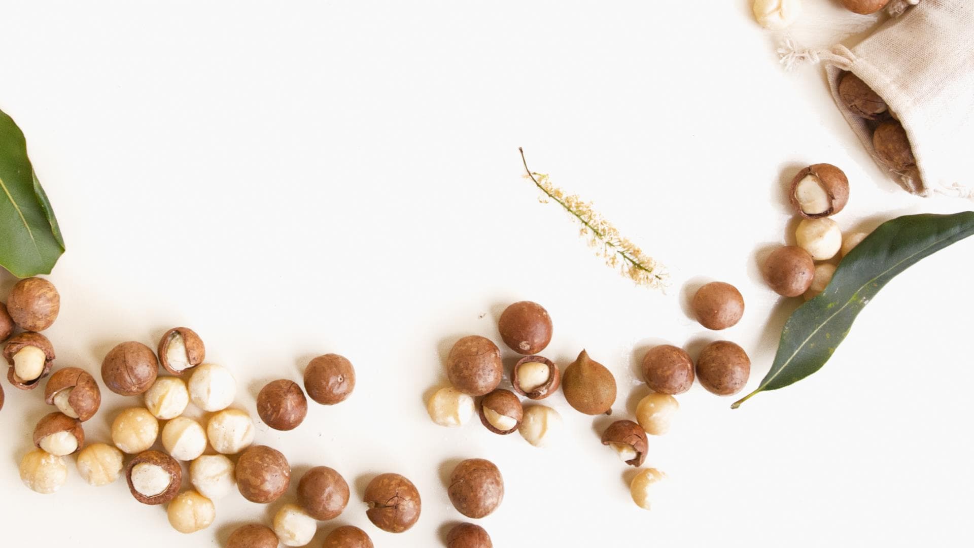 Macadamia Nuts (Maclands)