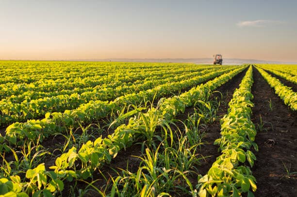 Agriculture