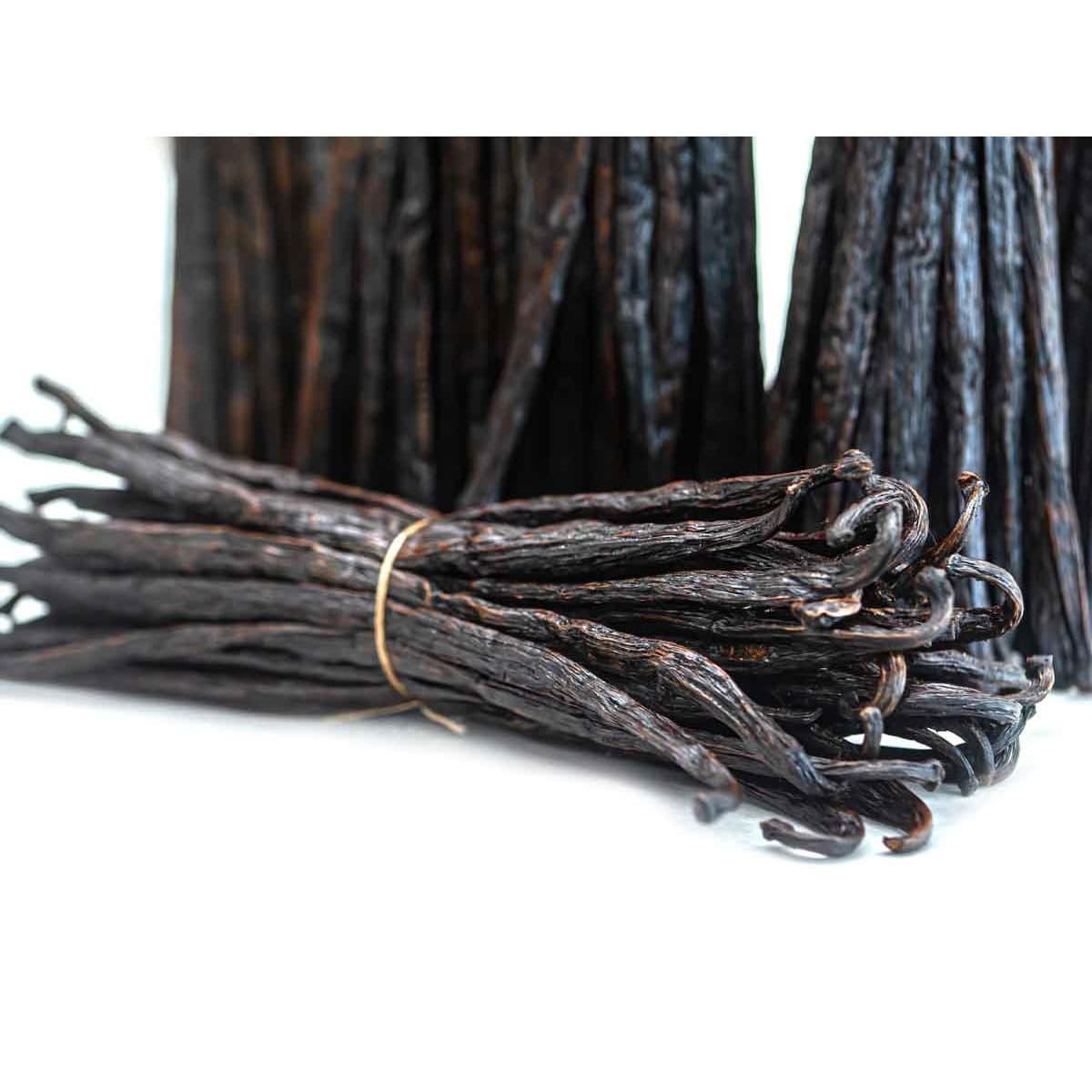 Pompona Vanilla (Exception)