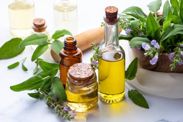 Plant Oil