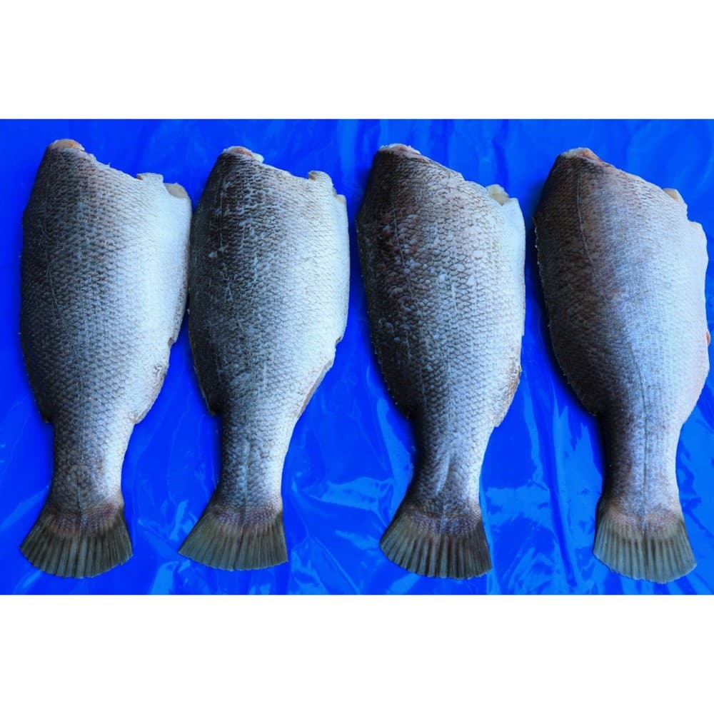 Nile Perch Headless Gutted (H&G)