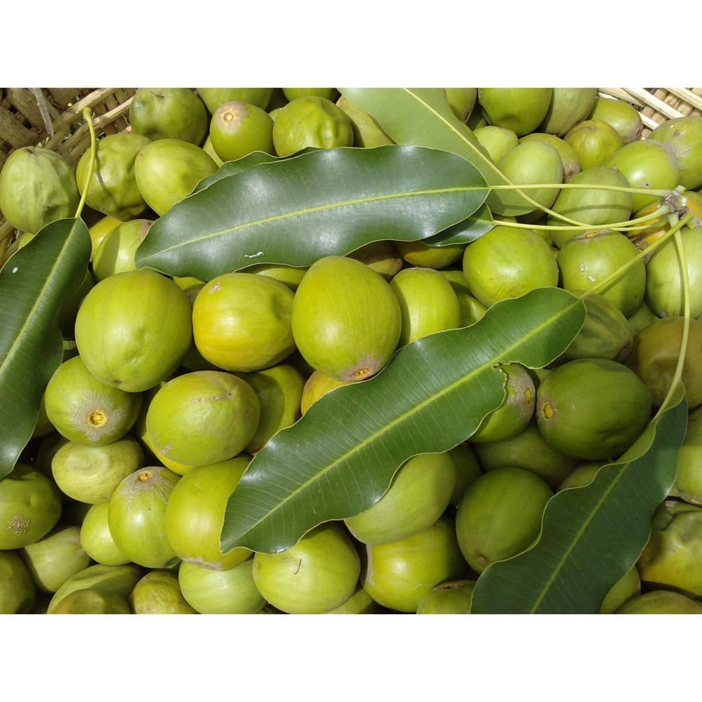 OLVE'True Shea Butter